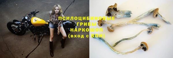 тгк Белокуриха